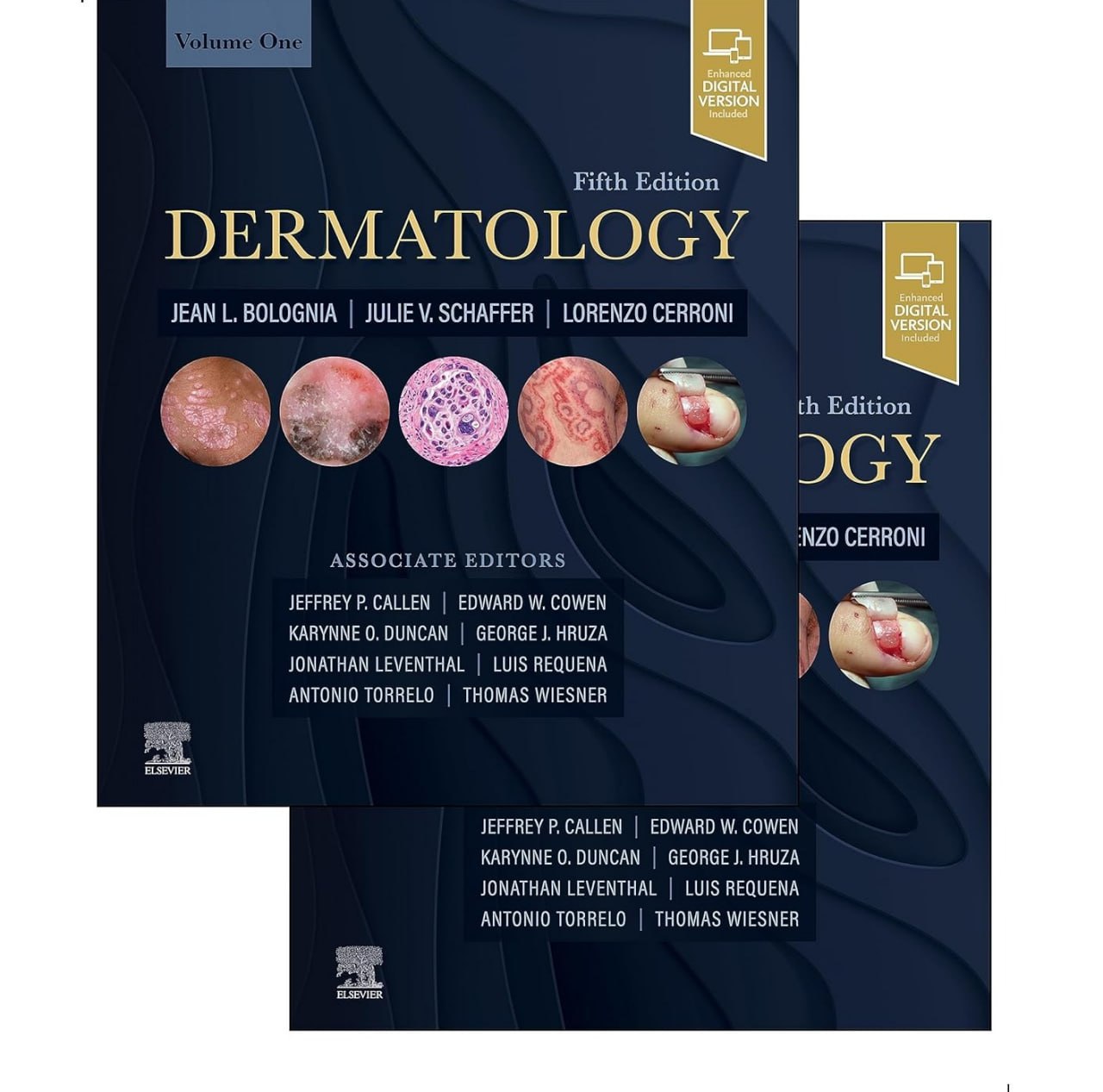 Dermatology: 2-Volume Set 5th Edition 2024